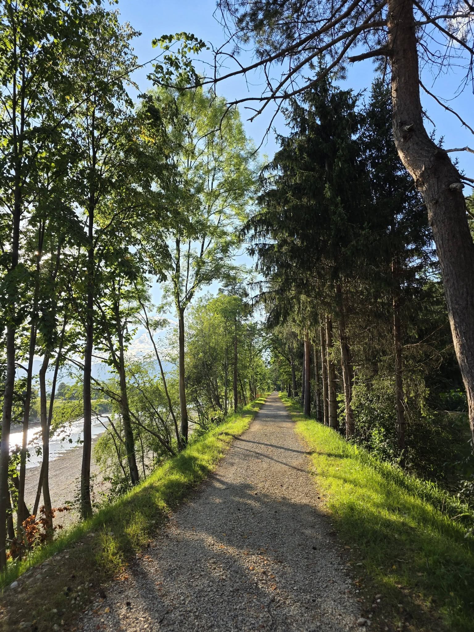 Vrbensko
